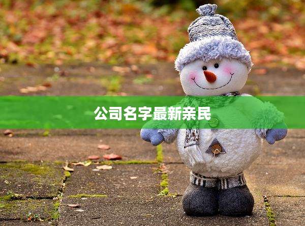 公司名字最新亲民
