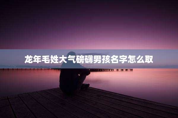 龙年毛姓大气磅礴男孩名字怎么取