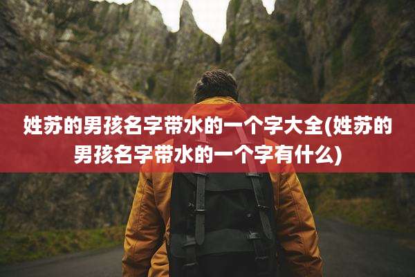 姓苏的男孩名字带水的一个字大全(姓苏的男孩名字带水的一个字有什么)