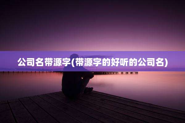 公司名带源字(带源字的好听的公司名)