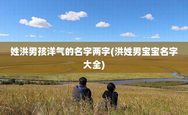 姓洪男孩洋气的名字两字(洪姓男宝宝名字大全)