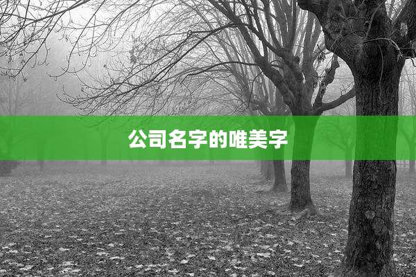 公司名字的唯美字