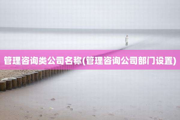 管理咨询类公司名称(管理咨询公司部门设置)