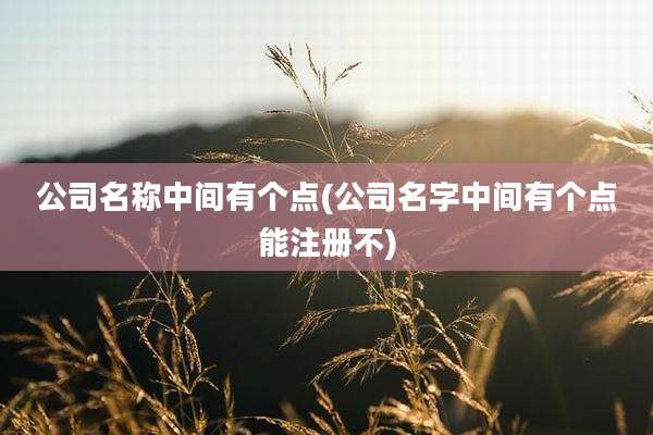 公司名称中间有个点(公司名字中间有个点能注册不)