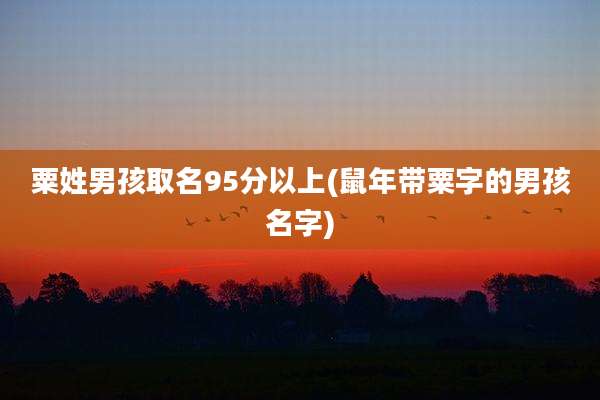 粟姓男孩取名95分以上(鼠年带粟字的男孩名字)