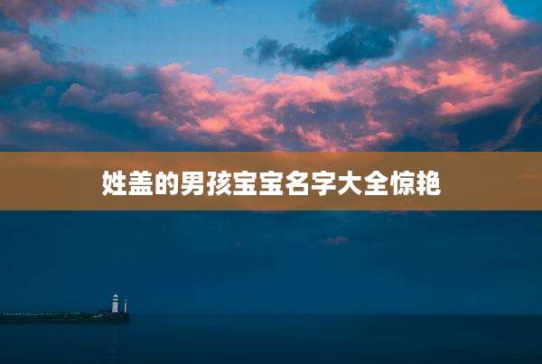 姓盖的男孩宝宝名字大全惊艳