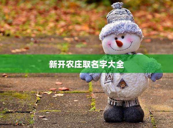 新开农庄取名字大全