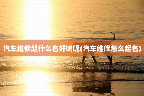 汽车维修起什么名好听呢(汽车维修怎么起名)