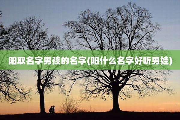 阳取名字男孩的名字(阳什么名字好听男娃)