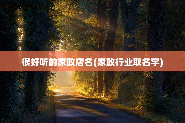 很好听的家政店名(家政行业取名字)