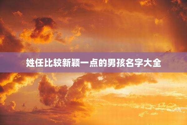 姓任比较新颖一点的男孩名字大全