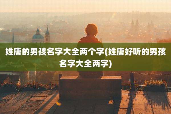 姓唐的男孩名字大全两个字(姓唐好听的男孩名字大全两字)