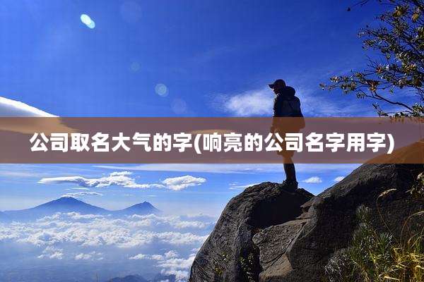 公司取名大气的字(响亮的公司名字用字)