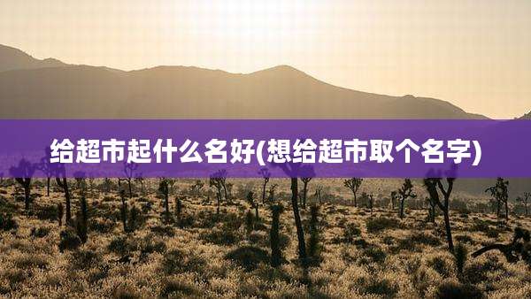 给超市起什么名好(想给超市取个名字)