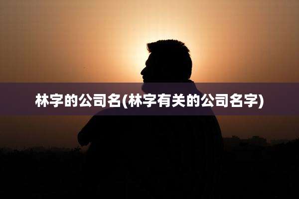 林字的公司名(林字有关的公司名字)
