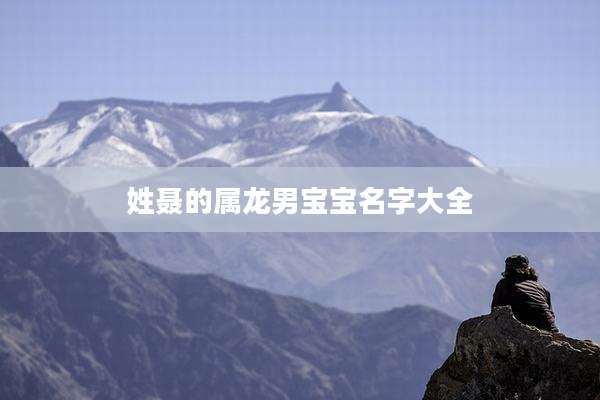 姓聂的属龙男宝宝名字大全