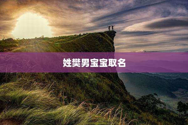姓樊男宝宝取名