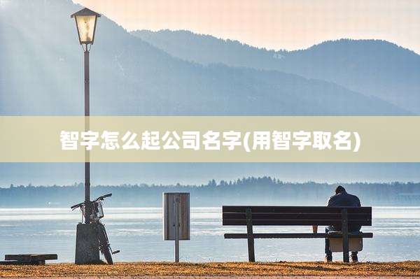 智字怎么起公司名字(用智字取名)