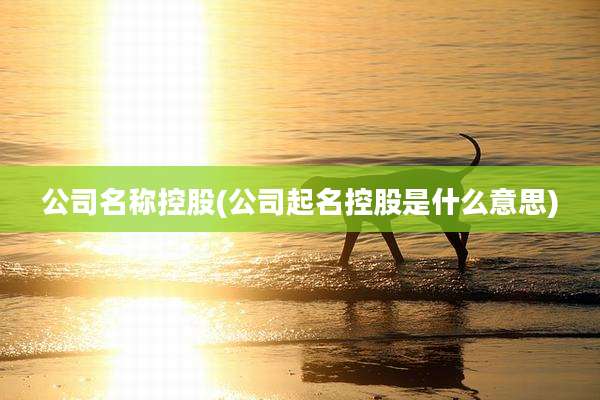 公司名称控股(公司起名控股是什么意思)
