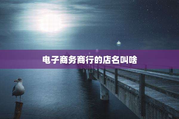 电子商务商行的店名叫啥