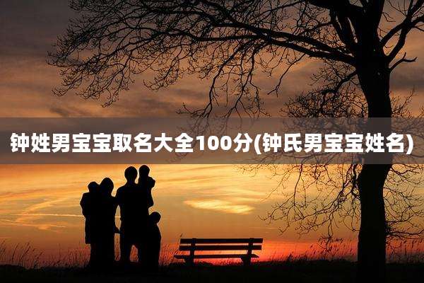 钟姓男宝宝取名大全100分(钟氏男宝宝姓名)
