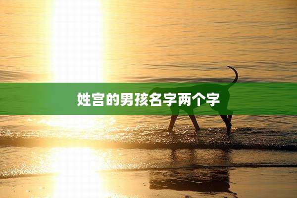 姓宫的男孩名字两个字
