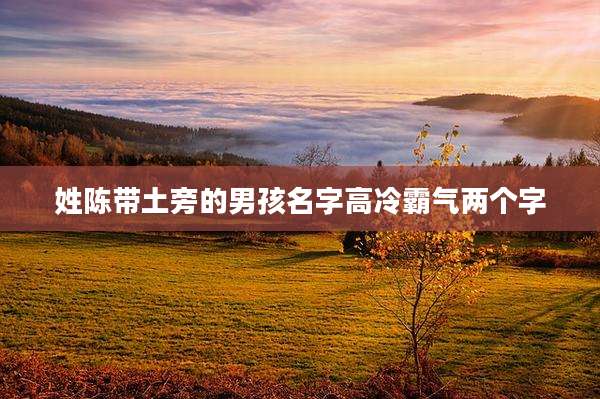 姓陈带土旁的男孩名字高冷霸气两个字