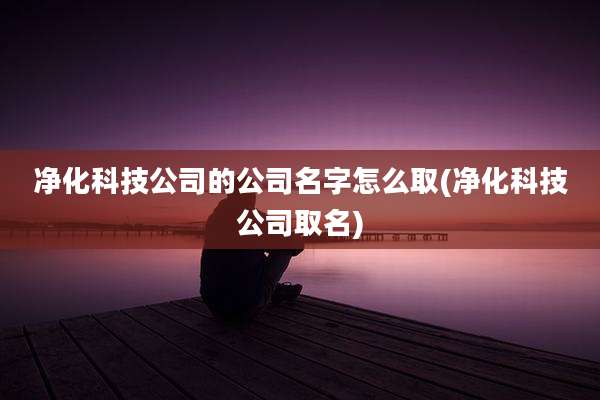 净化科技公司的公司名字怎么取(净化科技公司取名)