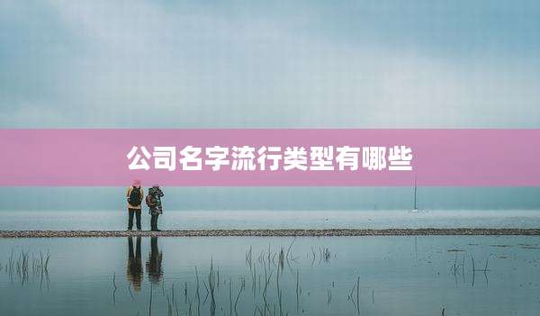 公司名字流行类型有哪些