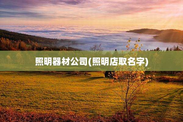 照明器材公司(照明店取名字)