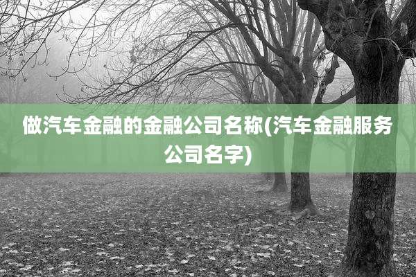 做汽车金融的金融公司名称(汽车金融服务公司名字)