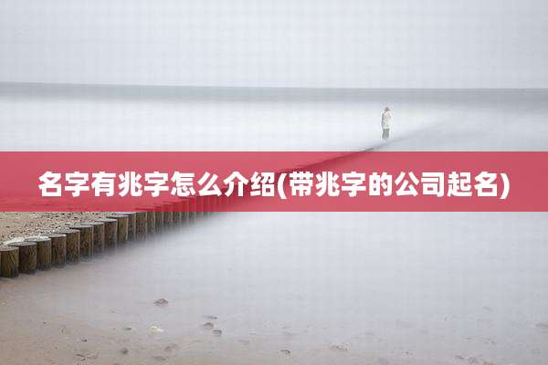 名字有兆字怎么介绍(带兆字的公司起名)
