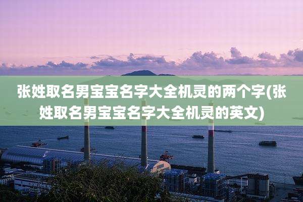张姓取名男宝宝名字大全机灵的两个字(张姓取名男宝宝名字大全机灵的英文)