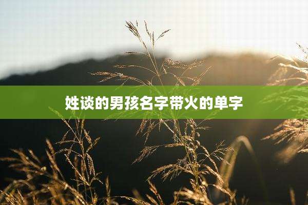姓谈的男孩名字带火的单字