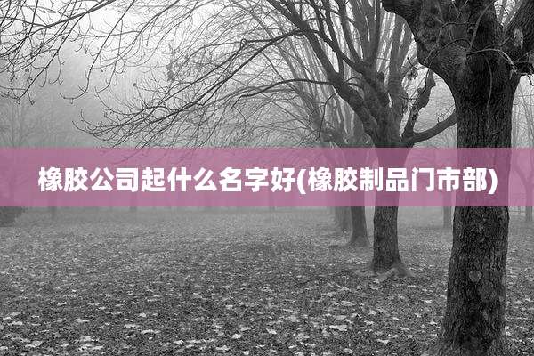 橡胶公司起什么名字好(橡胶制品门市部)