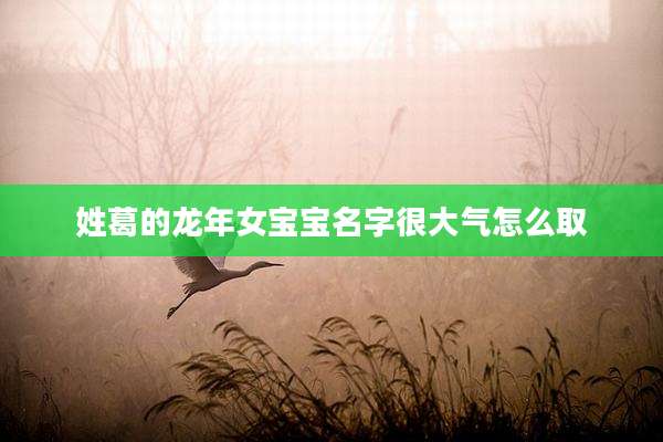 姓葛的龙年女宝宝名字很大气怎么取