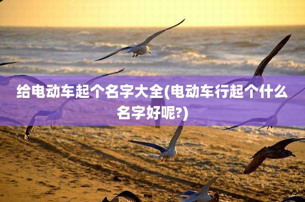 给电动车起个名字大全(电动车行起个什么名字好呢?)