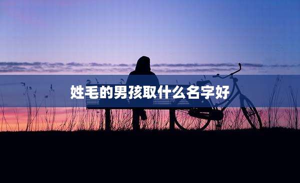 姓毛的男孩取什么名字好