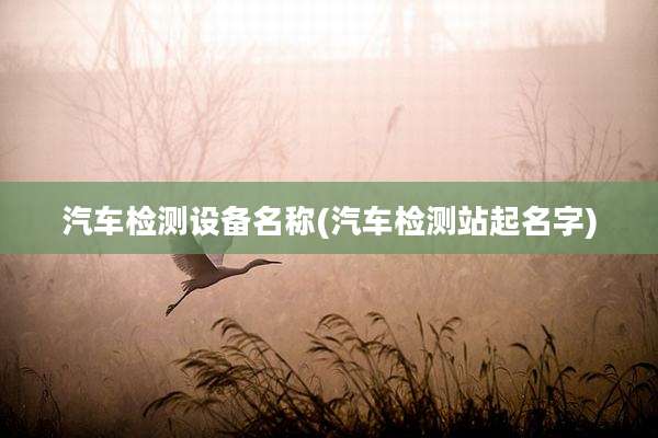 汽车检测设备名称(汽车检测站起名字)