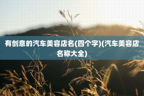 有创意的汽车美容店名(四个字)(汽车美容店名称大全)