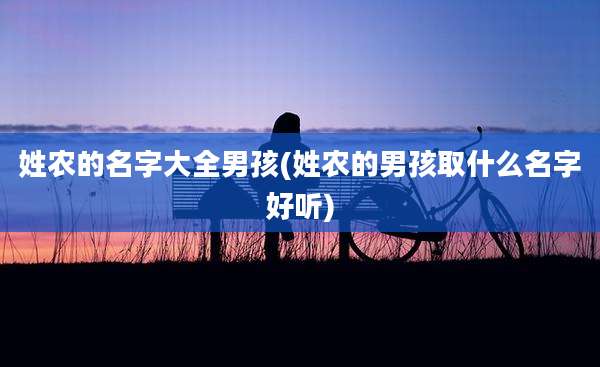 姓农的名字大全男孩(姓农的男孩取什么名字好听)