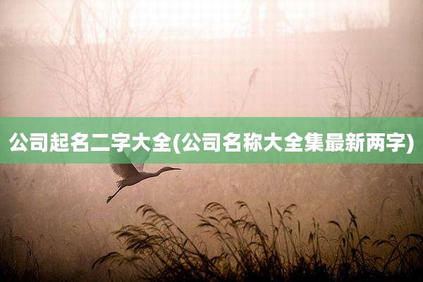 公司起名二字大全(公司名称大全集最新两字)