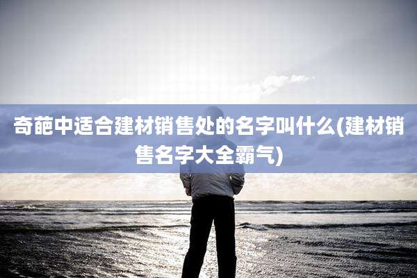 奇葩中适合建材销售处的名字叫什么(建材销售名字大全霸气)