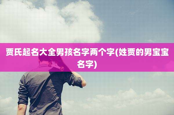 贾氏起名大全男孩名字两个字(姓贾的男宝宝名字)