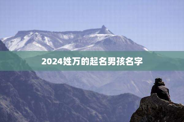 2024姓万的起名男孩名字