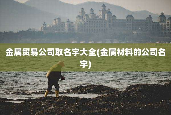 金属贸易公司取名字大全(金属材料的公司名字)