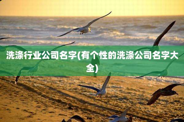 洗涤行业公司名字(有个性的洗涤公司名字大全)