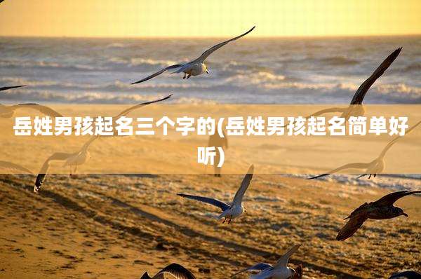 岳姓男孩起名三个字的(岳姓男孩起名简单好听)