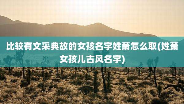 比较有文采典故的女孩名字姓萧怎么取(姓萧女孩儿古风名字)