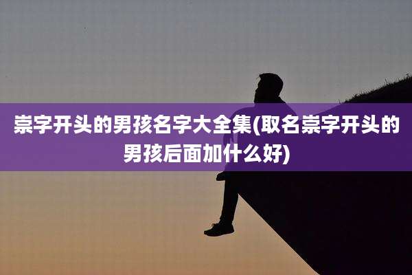 崇字开头的男孩名字大全集(取名崇字开头的男孩后面加什么好)